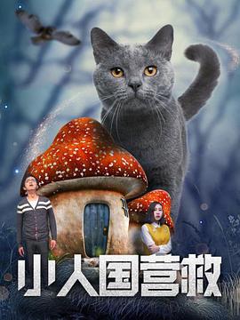 一级特黄高清完整大片