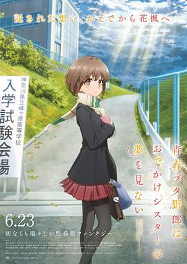 久久国产精品99精品国产987