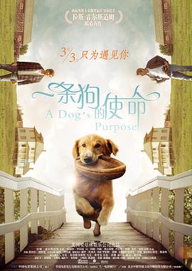 亚洲欧美另类日韩