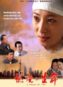 无码日韩精品一区二区免费