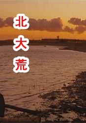 日日a.v拍夜夜添久久免费