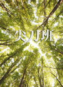 久久亚洲aⅴ精品网站婷婷