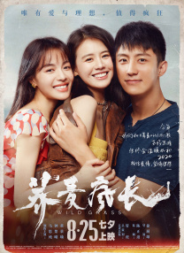 2019国产在线